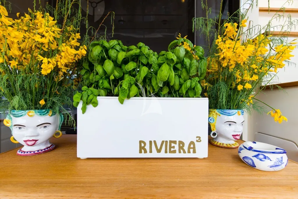 Riviera