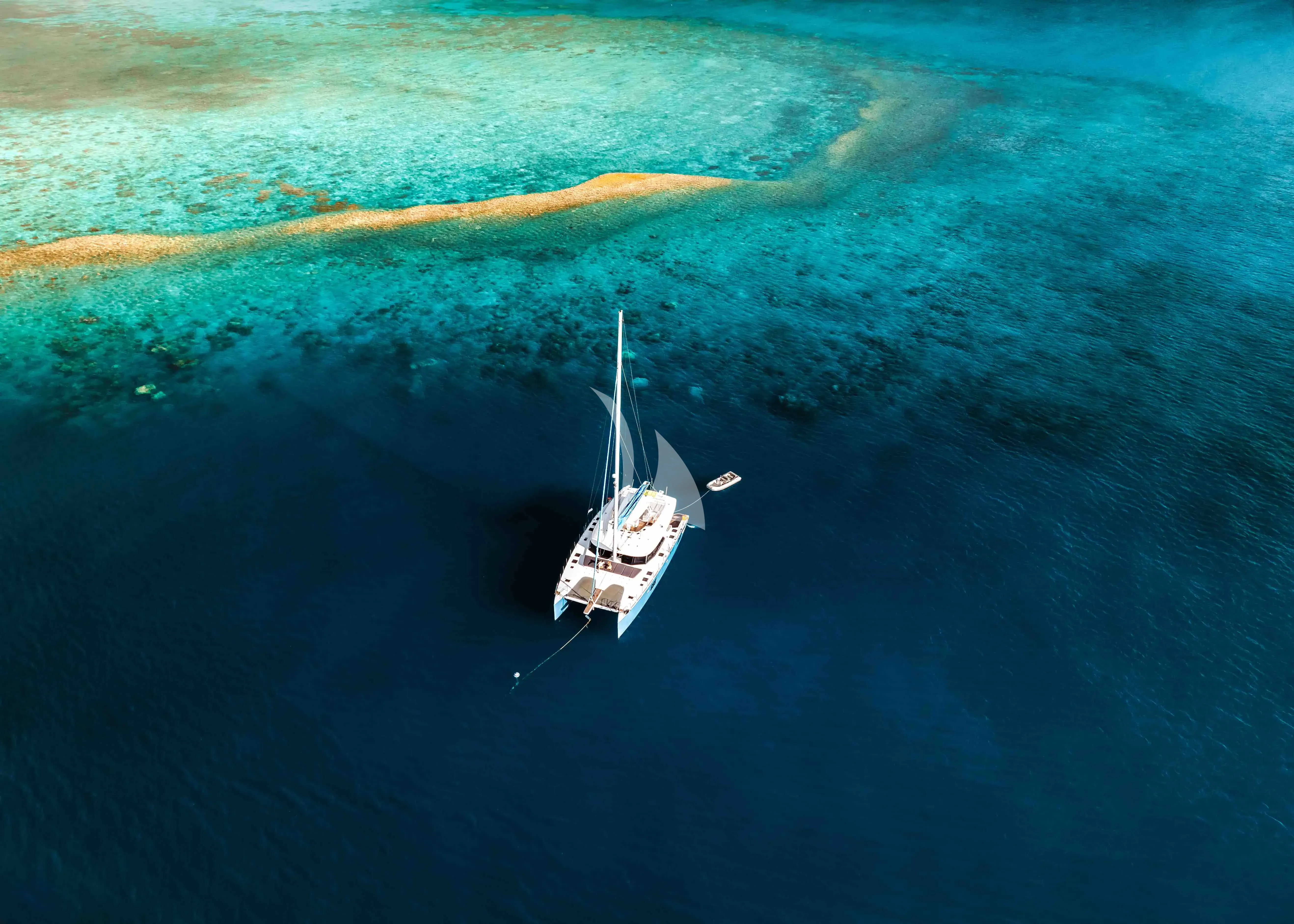 S/Y FENG
