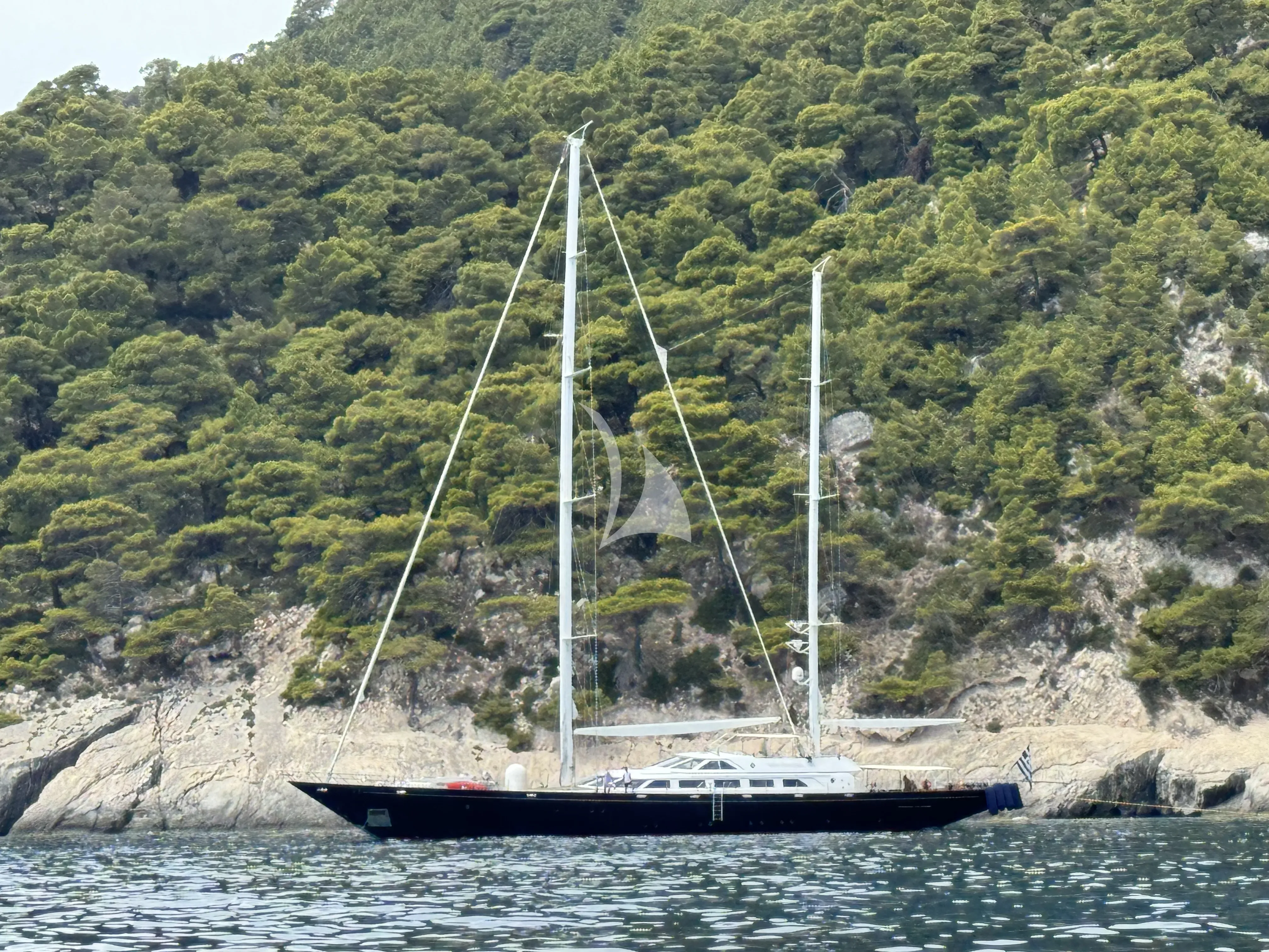 Tamarita
