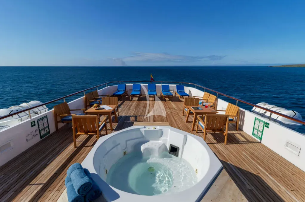 M/Y PASSION