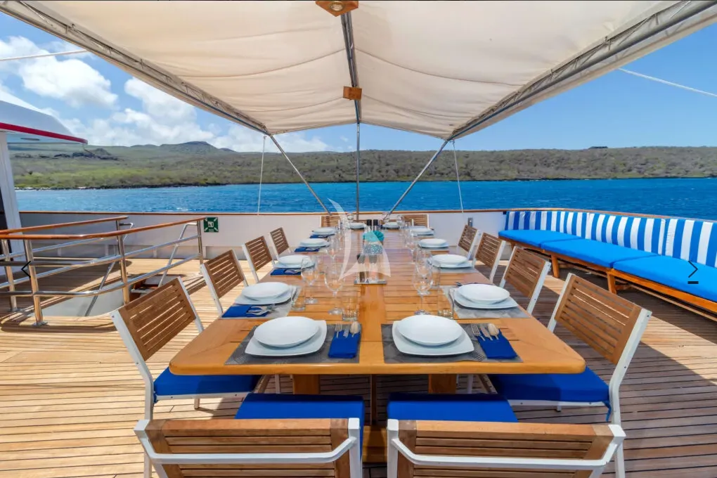 M/Y PASSION