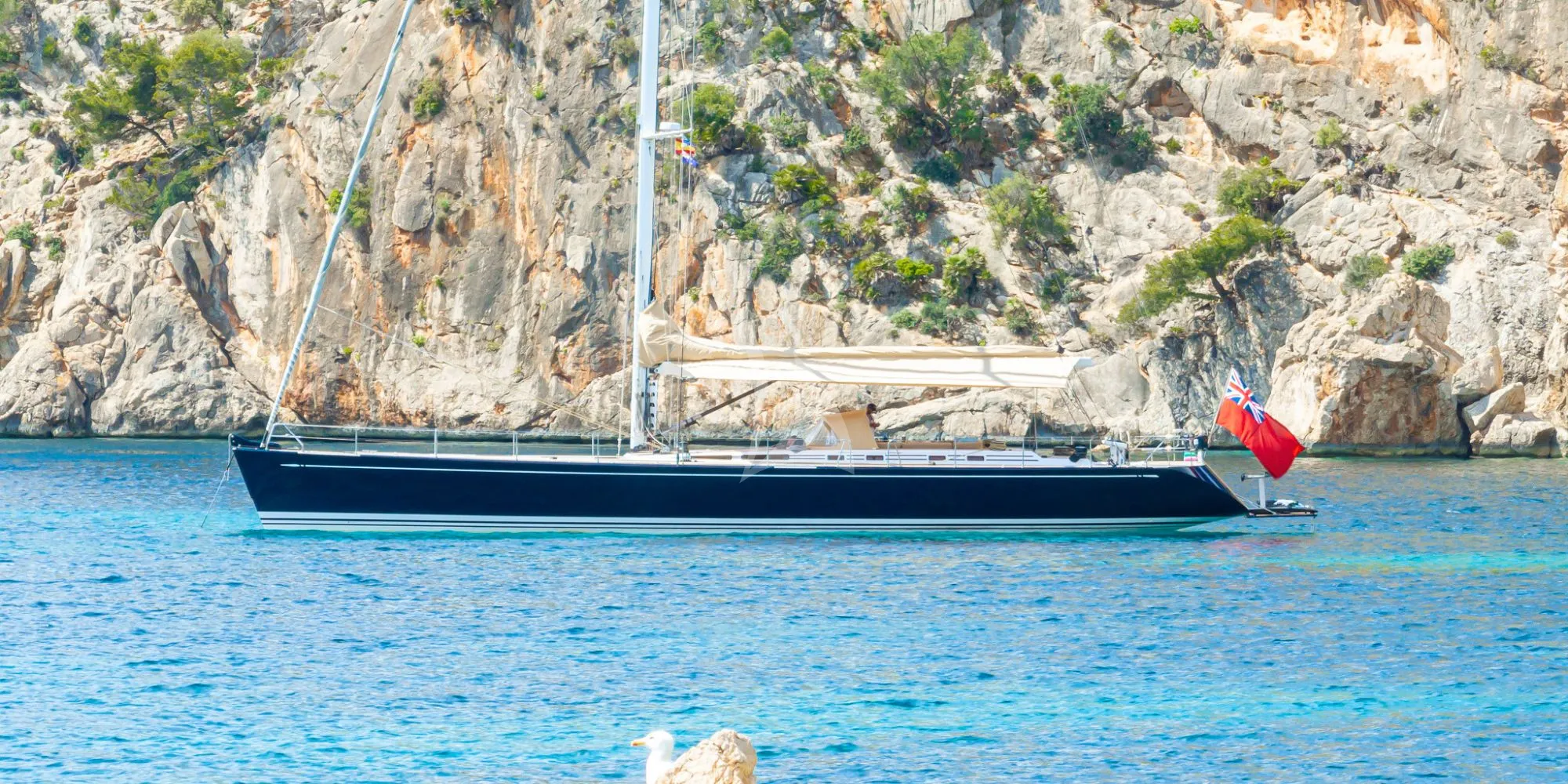 STELLA OF RORC