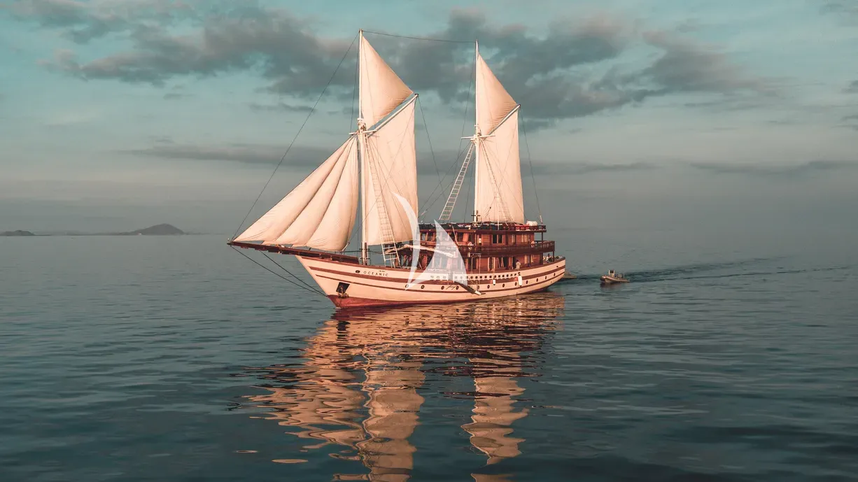 THE MAJ OCEANIC