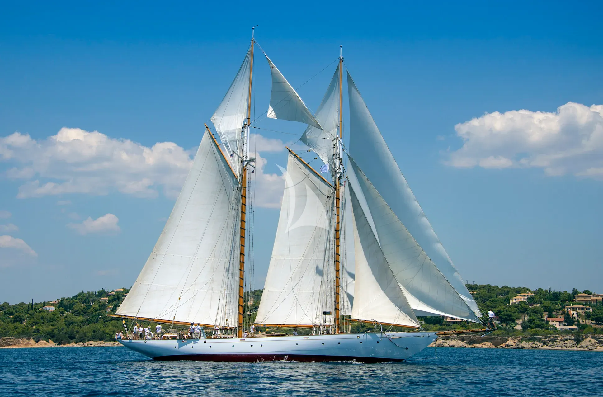 PURITAN