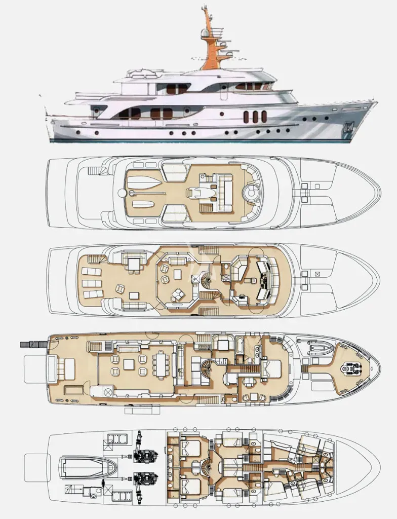 BELUGA