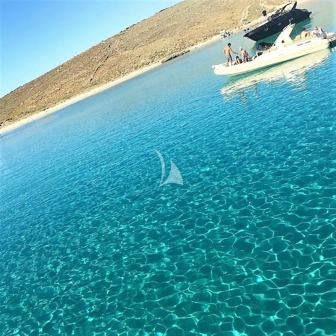 QUESTA e VITA