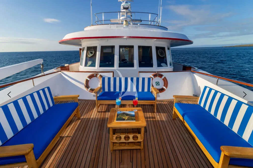 M/Y PASSION