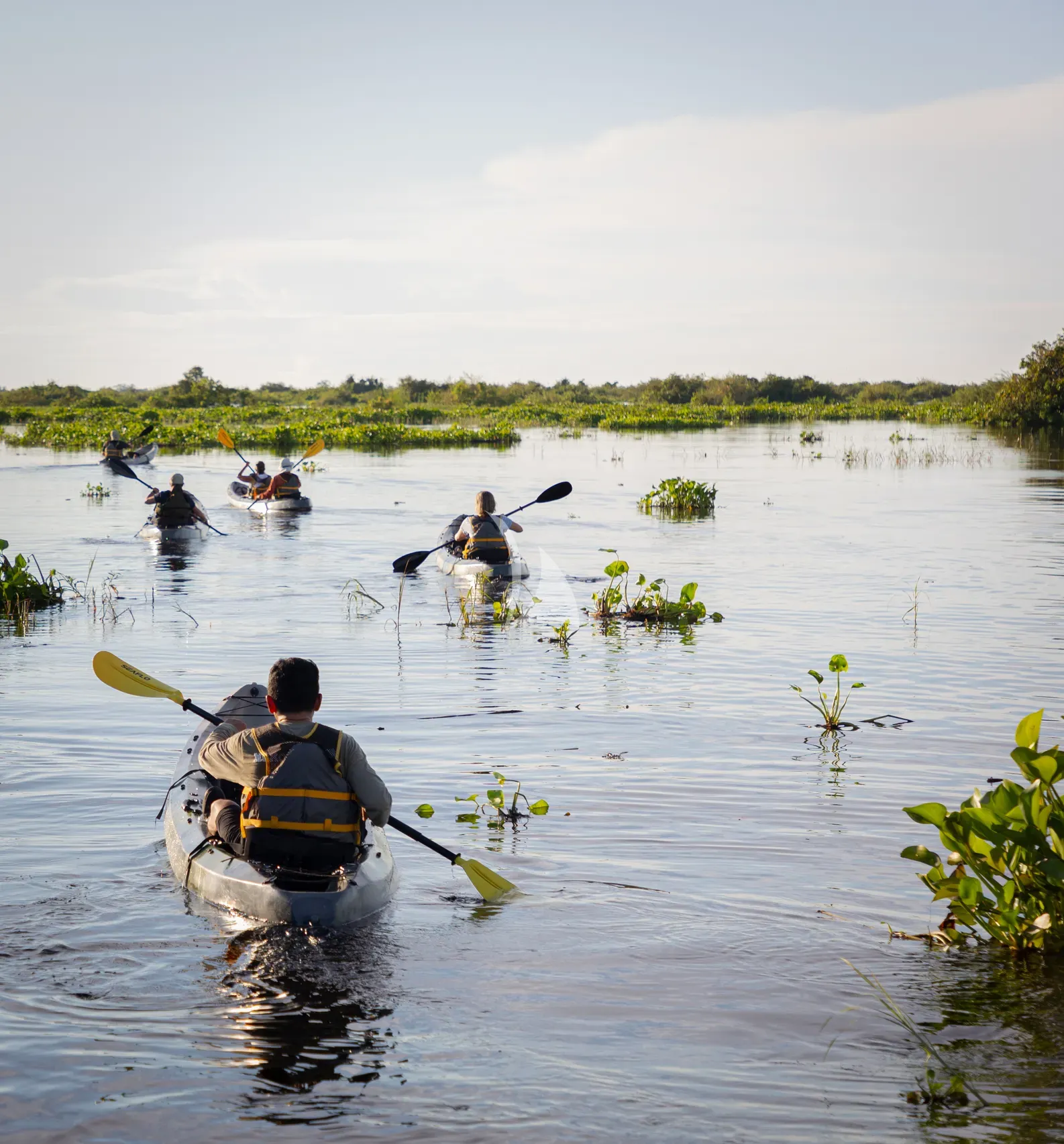 AQUA MEKONG