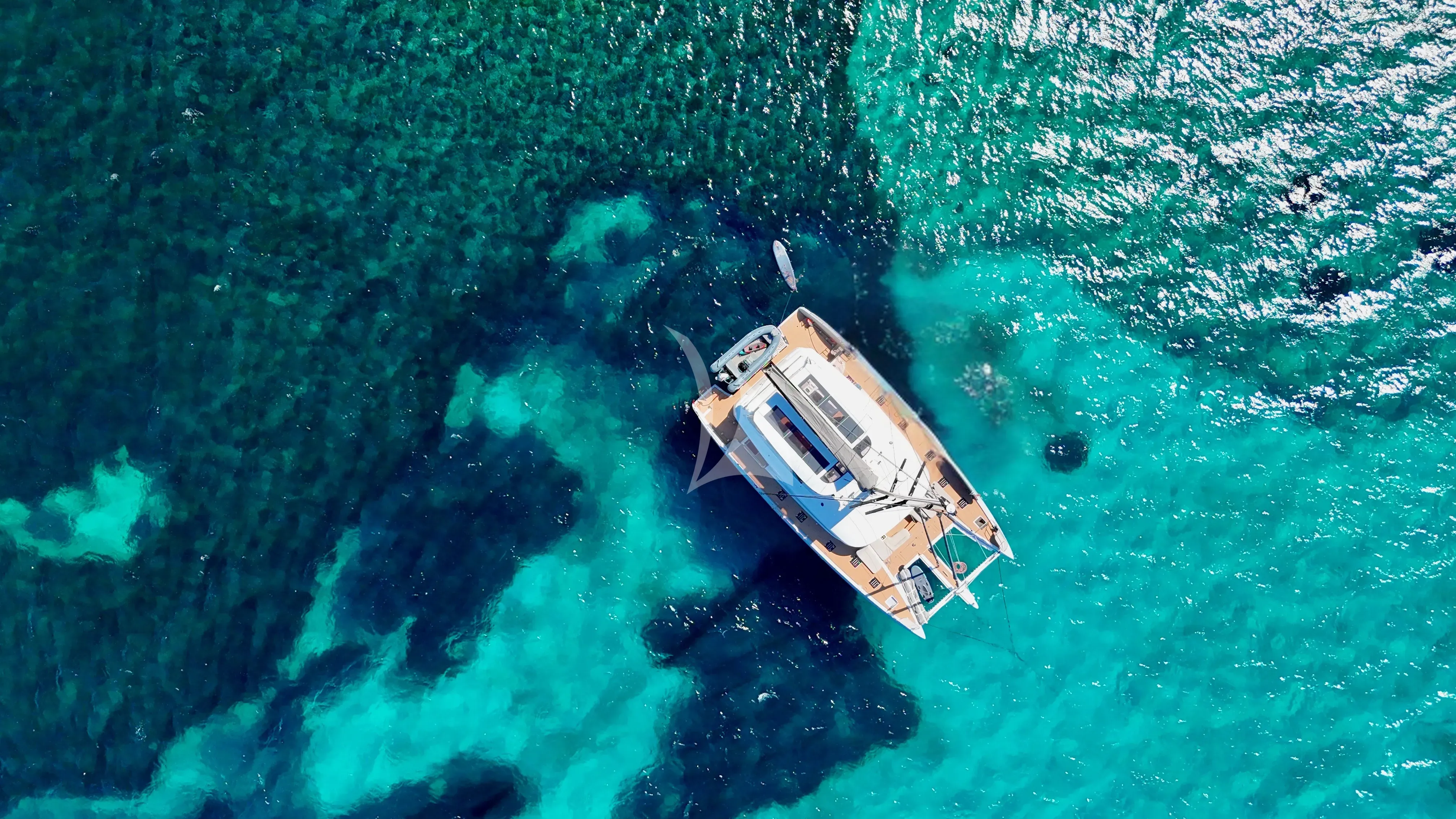 REVE BLEU