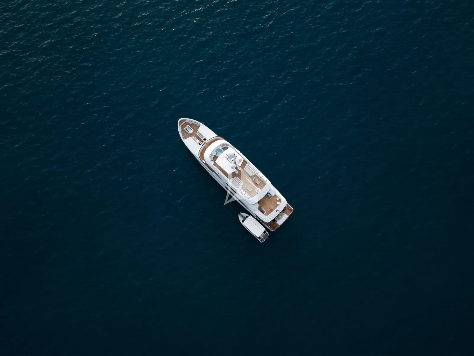 BELUGA
