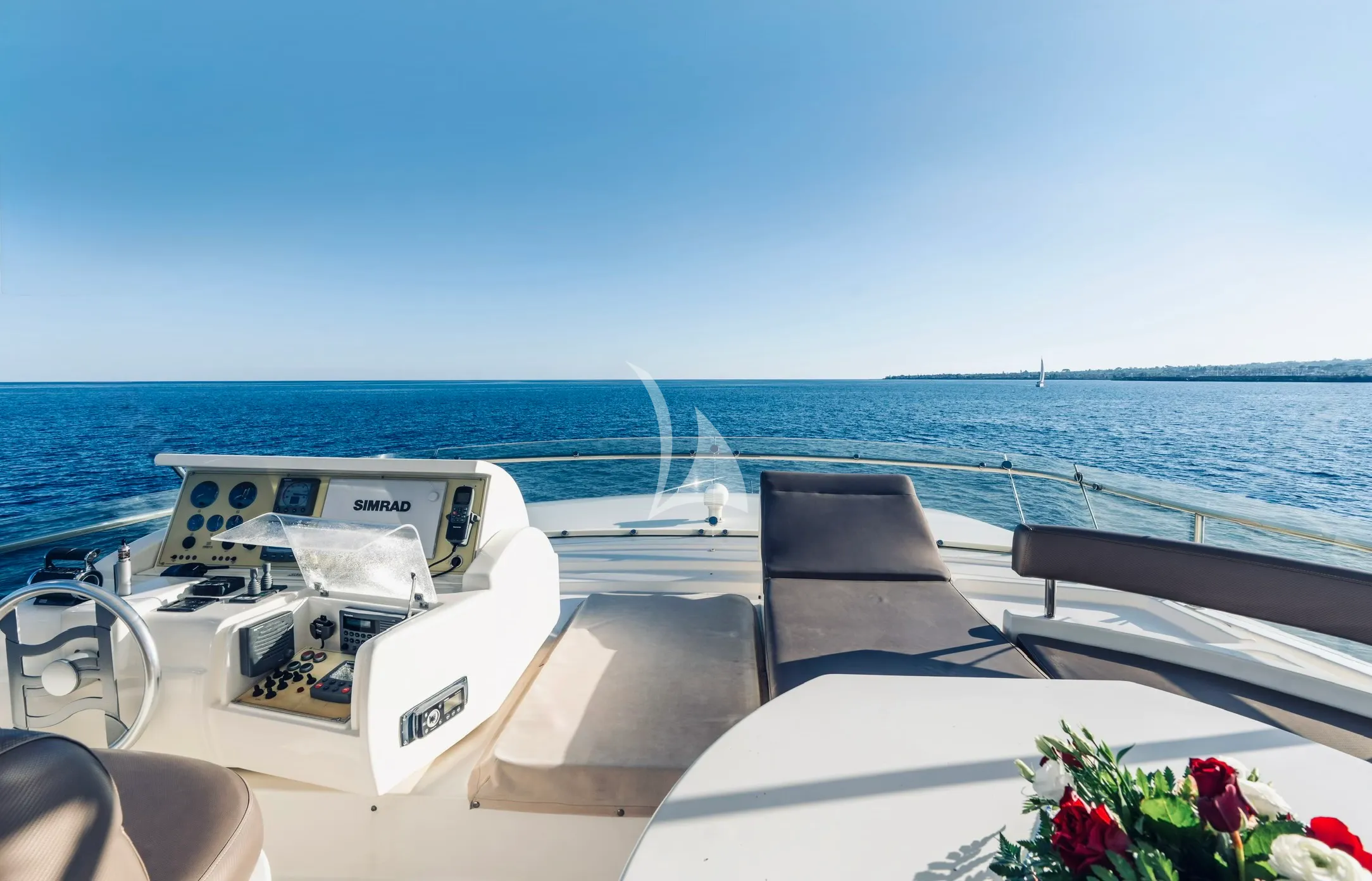Angelica
