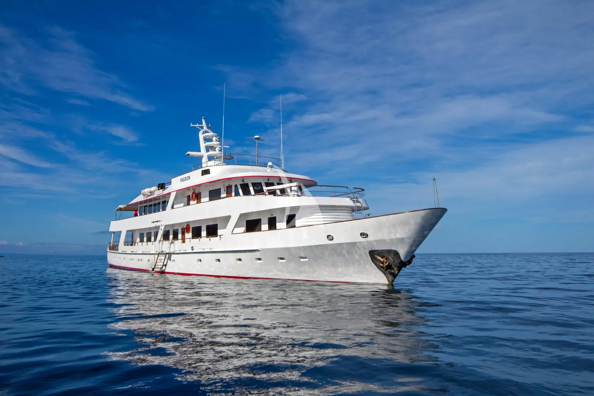 M/Y PASSION
